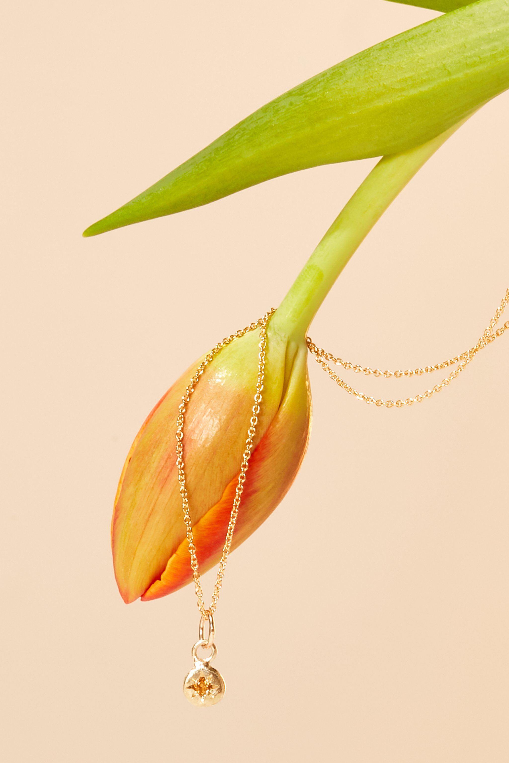 9ct yellow gold November birthstone necklace with citrine