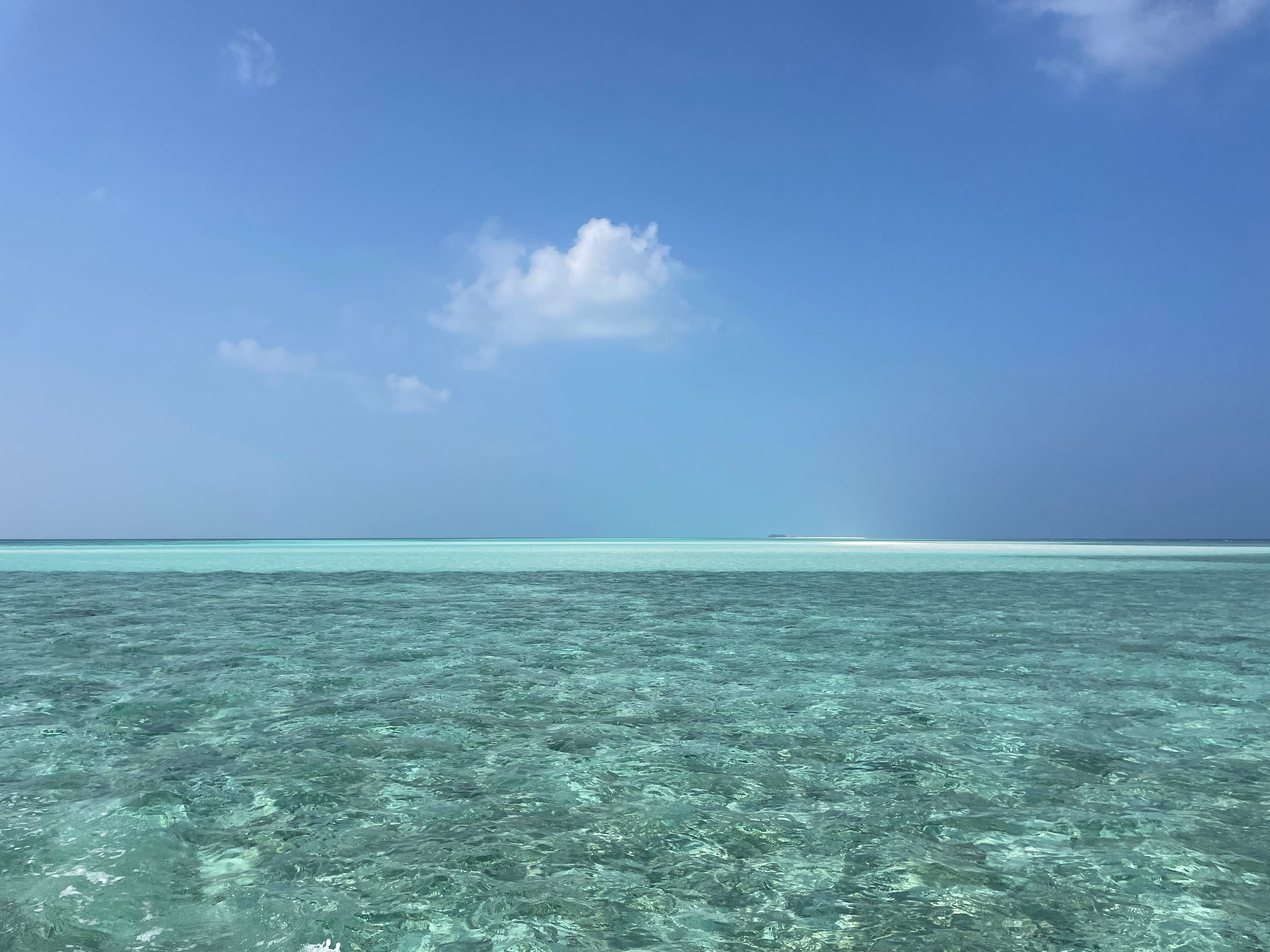 Summer Crush - A Sun-Drenched Collaboration Four Years in the Making